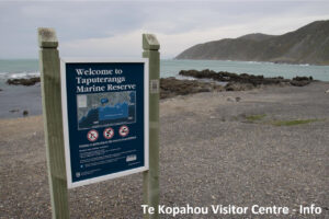 Te Kopahou Visitor Centre QR code