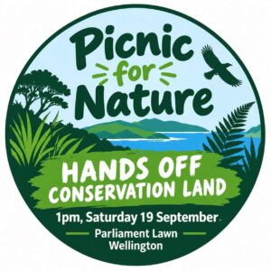 Picnic for Nature 5